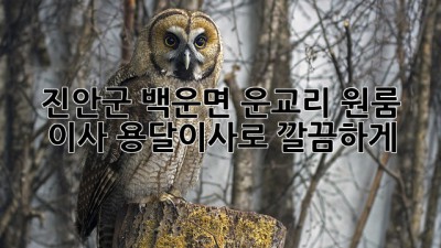 진안군 백운면 운교리 원룸 이사, 용달이사로 깔끔하게!